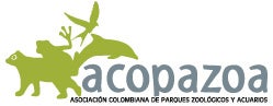 Acopazoa