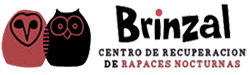 Logo Brinzal