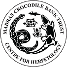 Madras Crocodile
