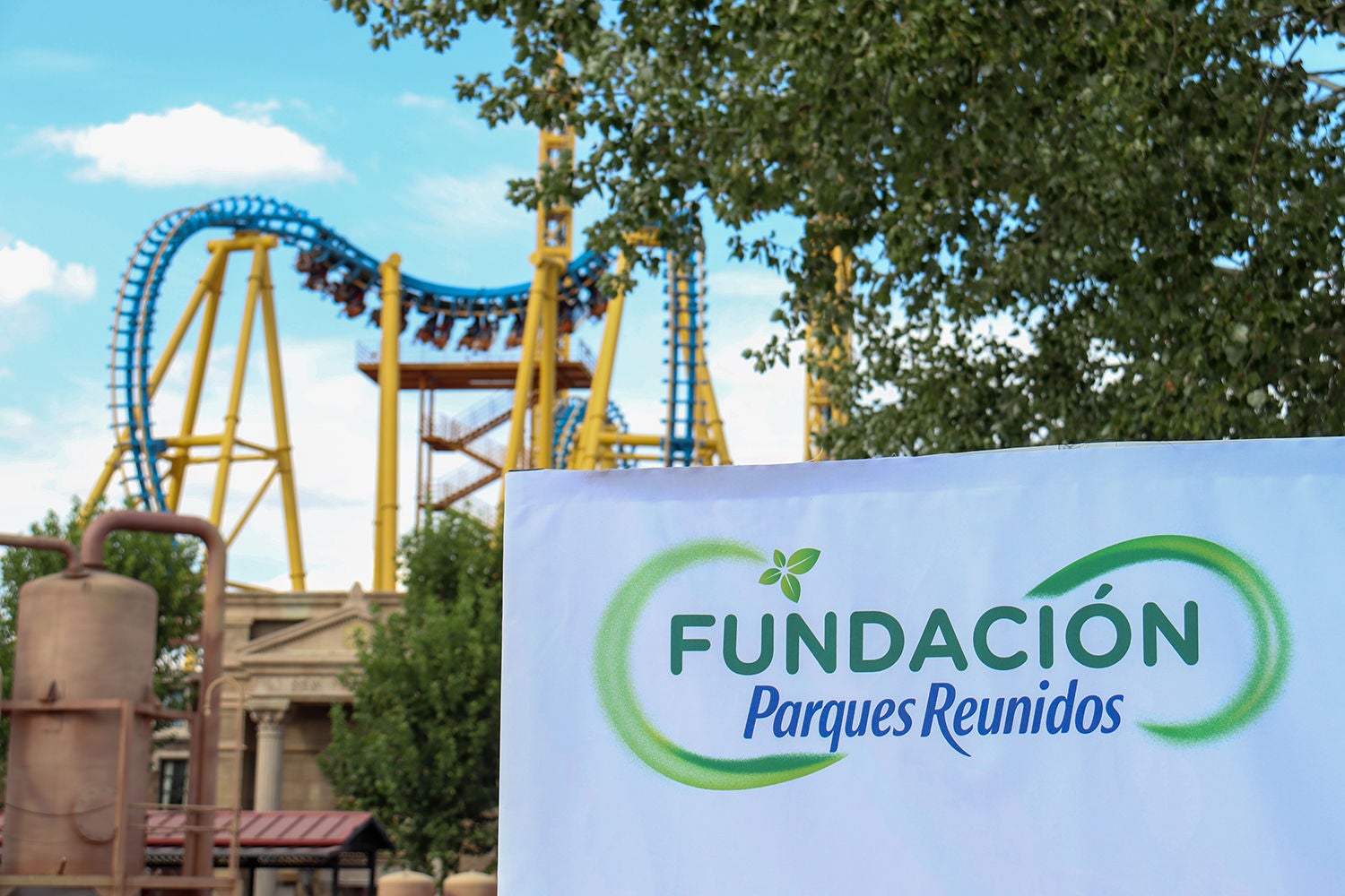 Áreas de actuación